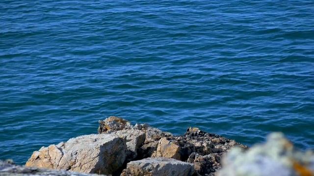 Красивая музыка релакс#music#Alecs186 смотреть онлайн