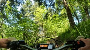 '23 Surron ULTRA BEE Review