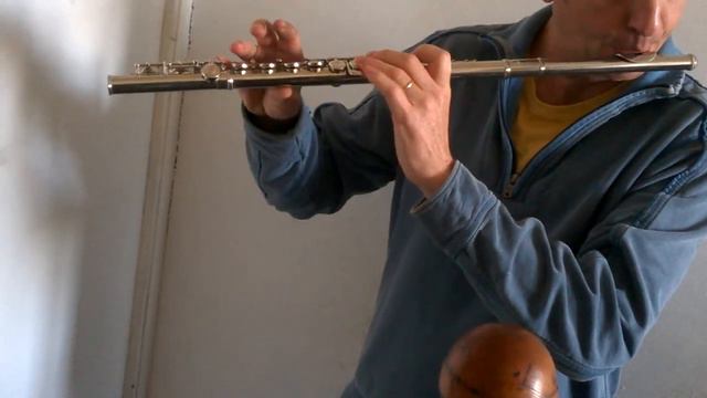 Yamaha Flute YFL 22N смотреть онлайн