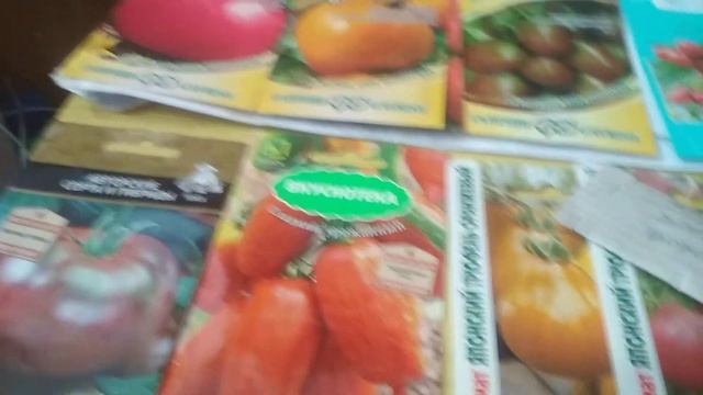 25 февраля. Сеем позднеспелые сорта томатов. смотреть онлайн