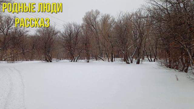 Родные люди - интересные истории. | Спасибо вам. Вы мне как родные стали за эти месяцы... смотреть онлайн