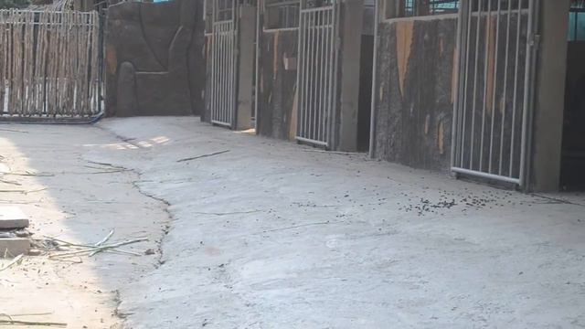 Зоопарк и ботанический сад в Хошимине смотреть онлайн