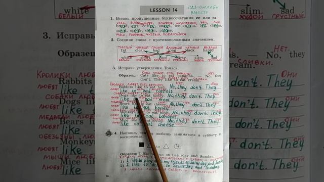 3 класс. ГДЗ. Английский язык. Рабочая тетрадь. Биболетова. Unit 1. Lesson 14. С комментированием. смотреть онлайн