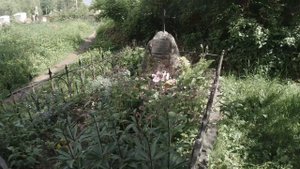 Могила Анны Керн. Торжок.