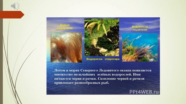 зона арктических пустынь 4 класс смотреть онлайн