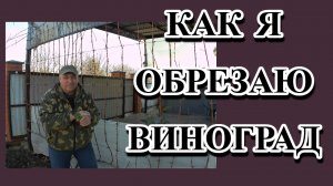 205. Жизнь на юге в декабре/Садово-огородные дела