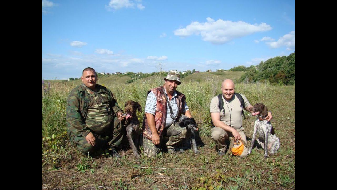 Отзывы участников курса "Азбука натаски" Июль 2014 года. смотреть онлайн