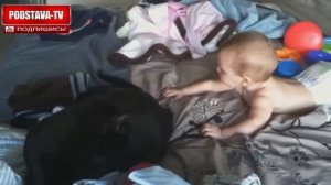 СУПЕР ПОДБОРКА ПРО ДЕТЕЙ И СОБАК)))