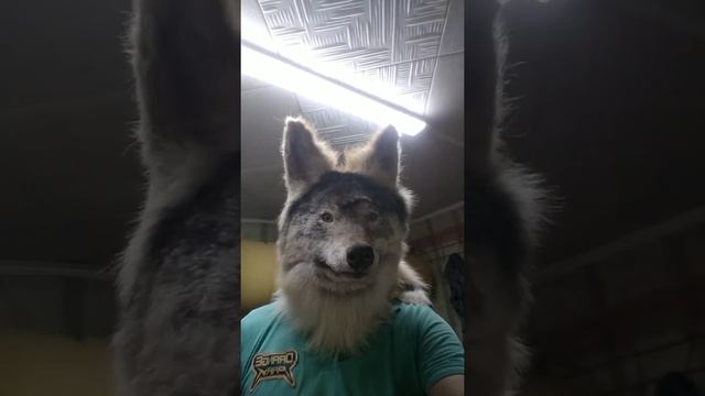 маска волка wolf Mask