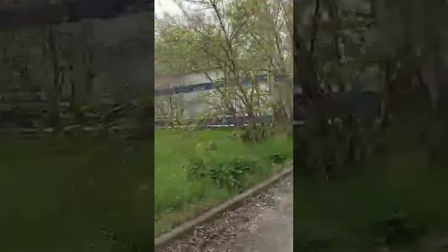 Район Марцево