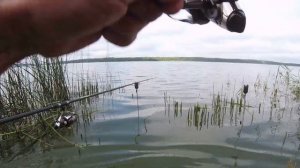 РЫБАЛКА   АВГУСТ  Ловля  Леща с берега НА донную снасть .