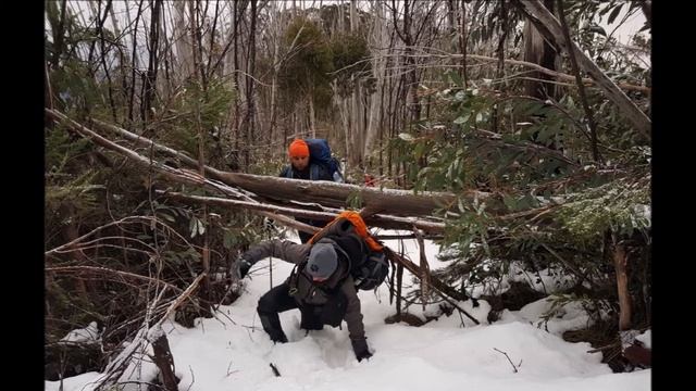 "В горы с другом" смотреть онлайн
