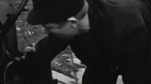 1971 год. Тюменская область. Перед уборкой зерновых