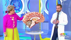Как пережить инсульт. Жить здорово! Фрагмент выпуска от 01.06.2018