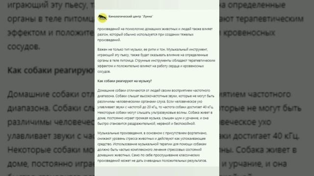 Все что вы всегда хотели узнать о влиянии музыки на собак