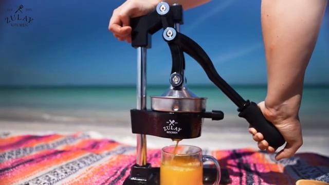 9 Amazing Manual Juicers Sold On  July 2022