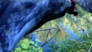 Щука летом спиннингом на искусственную лягушку.