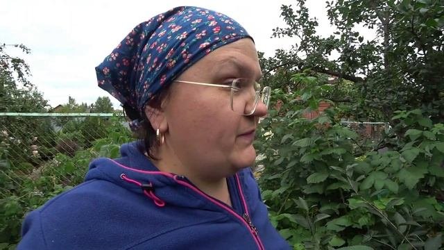 Признаю свои ошибки по ремонтантной малине