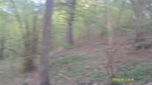 квадроцикл 200 кубов, дорожная резина, лес