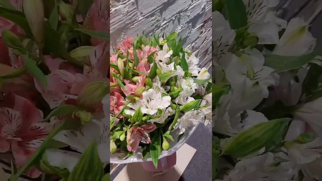 нежно розовый букет 💐  #flowers #цветыкавказская #flowervideo #флористика #нежныйбукет #альстромери