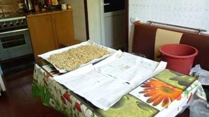 Сушка солода в микроволновке !!