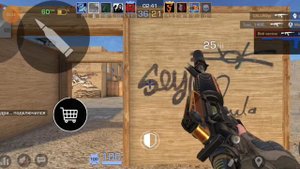 играю в стендоф