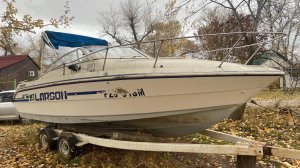 Быстрый Осмотр Катера Larson 220