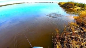 Подробности самой успешной рыбалки в сентябре! Невероятные результаты!