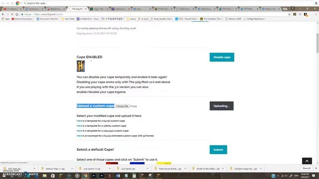 How to enable Custom capes on 5ZIG! смотреть онлайн