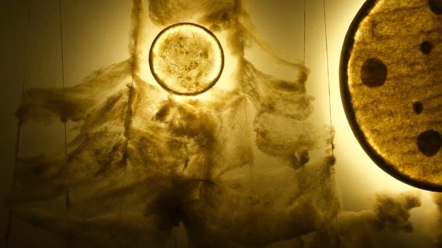 Нюхать, трогать, мастерить. В Улан-Удэ открылась войлочная выставка смотреть онлайн