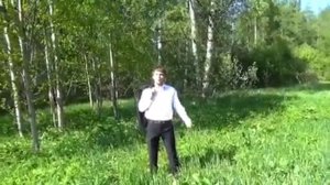 От чего так в России берёзы шумят