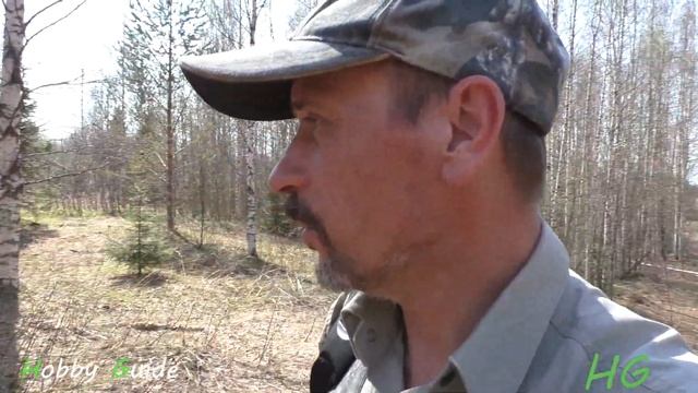 Первые весенние грибы — СМОРЧКИ. Самые интересные, самые вкусные! Сбор и первичная обработка. смотреть онлайн