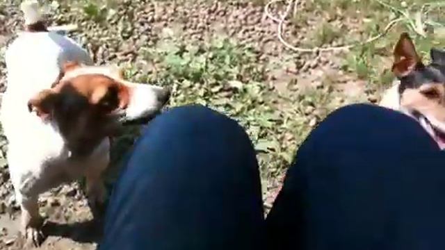 Спор между дрт смотреть онлайн