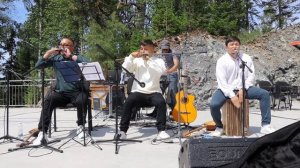 Алтайский комус.