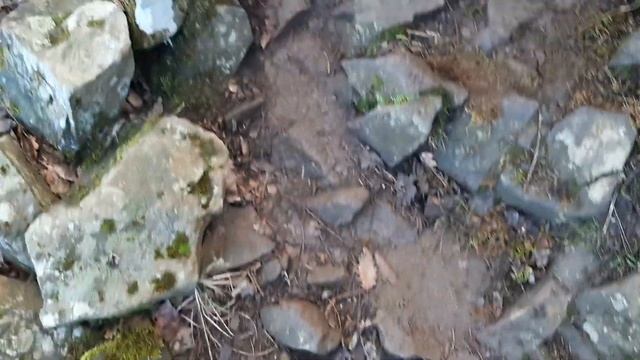 АРТЕК: день 6 ? (влог) Аю-Даг - 2 смена 2022, тир, альфа отряд ☆ смотреть онлайн