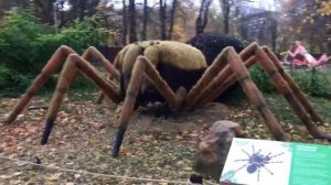 Осенняя прогулка октябрь 2021  Парк Насекомых, ТИР