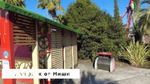 Сочи Парк в декабре