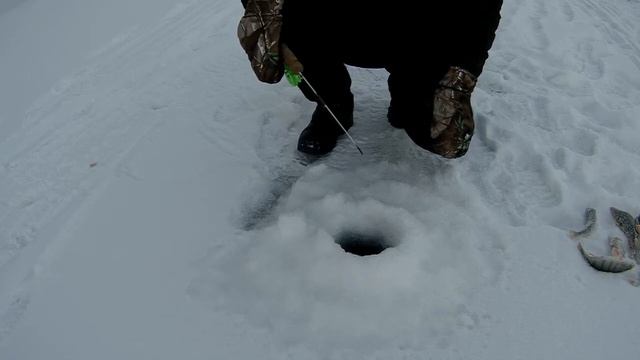 рыбалка КВХ Снова в шумиху за лещем и окунем смотреть онлайн