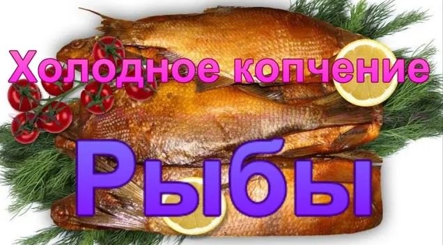 Холодное копчение рыбы.