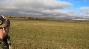 ВЗЯЛИ ВОЛКА В ЛЕНИНГРАДСКОЙ ОБЛАСТИ .ОХОТА НА ГУСЯ ЗАКОНЧИЛАСЬ ДОБЫЧЕЙ ВОЛКА!!!