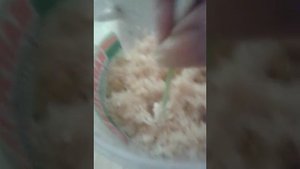Посев семян перец дерево спрут Новогодний