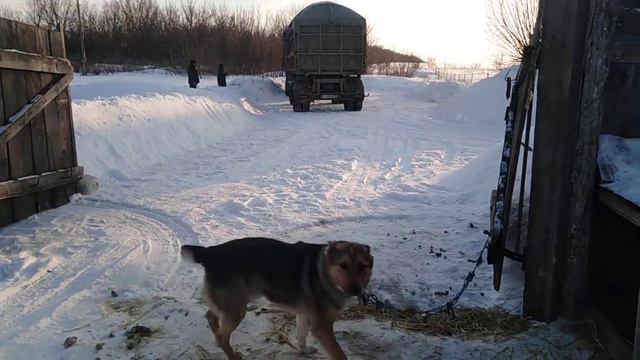 Мини Ферма смотреть онлайн