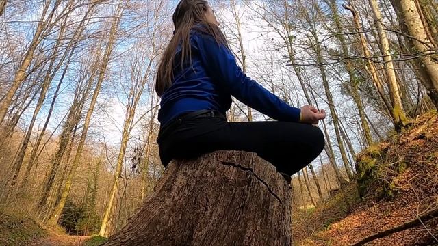 МЕДИТАЦИЯ ОТ ТРЕВОГИ смотреть онлайн