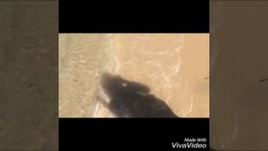 Отдых в Тунисе. Сусс. Тунис. Marabout hotel. Средиземное море. Море.Солнце.Пляж.Танцы.