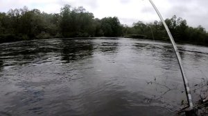 РЫБАЛКА на ЛОСОСЯ часть 1