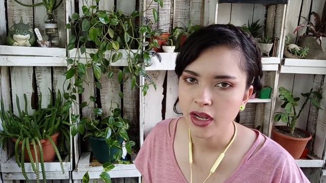 Cómo EMPEZAR tu colección de SUCULENTAS/ 5+1consejos para el EXITO 👉🌟🏜️💯 смотреть онлайн