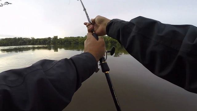 Берш, Судак, Голавль, Жерех. Рыбалка на МОСКВА- РЕКЕ. NEK fish. смотреть онлайн