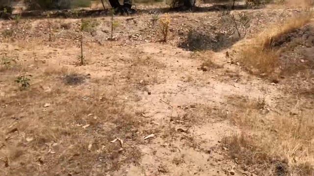 Rural Permaculture - Drylands Strategies Summer 2019 Update смотреть онлайн