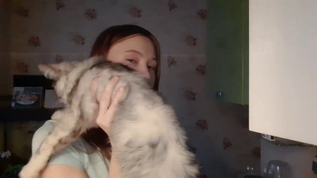 Как провожу свой вечер | VLOG