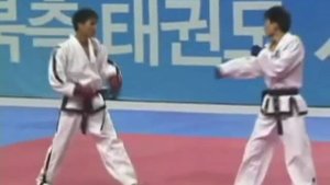 ITF Taekwondo Knockouts and Self Defense Best of v1